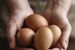 Two hands holding a bundle of brown eggs