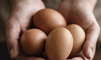 Close up of brown eggs in woman's hands