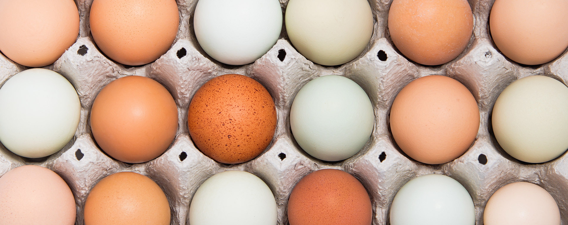Overhead view of egg carton with a variety of eggs