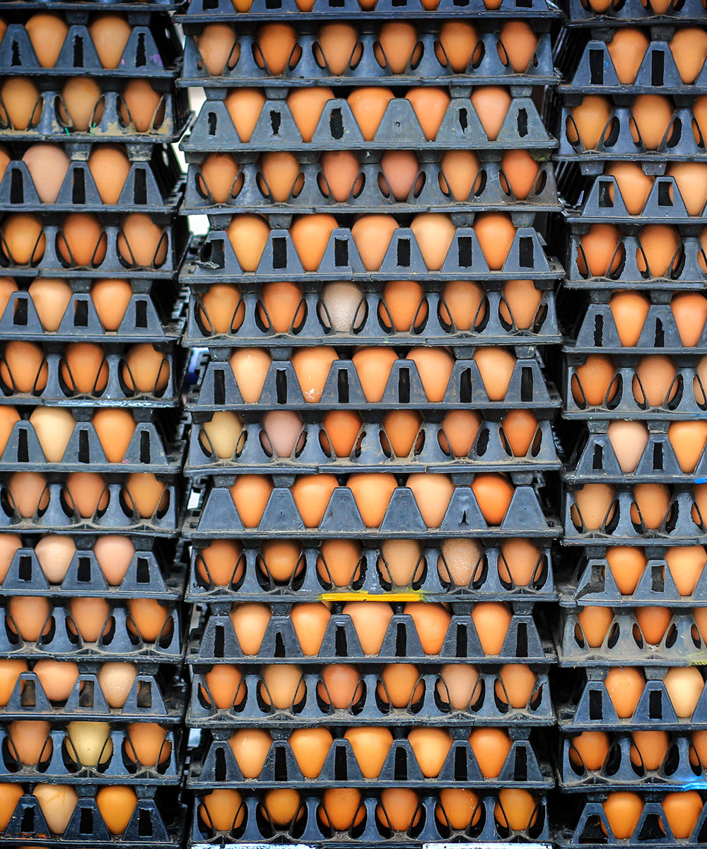 Tall shelves filled with eggs