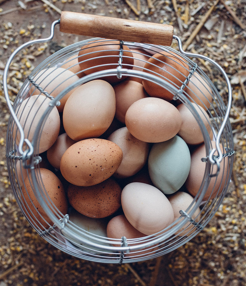 Overhead shot of egg varieties in wire basket