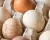 White and brown eggs freshly placed in an egg carton