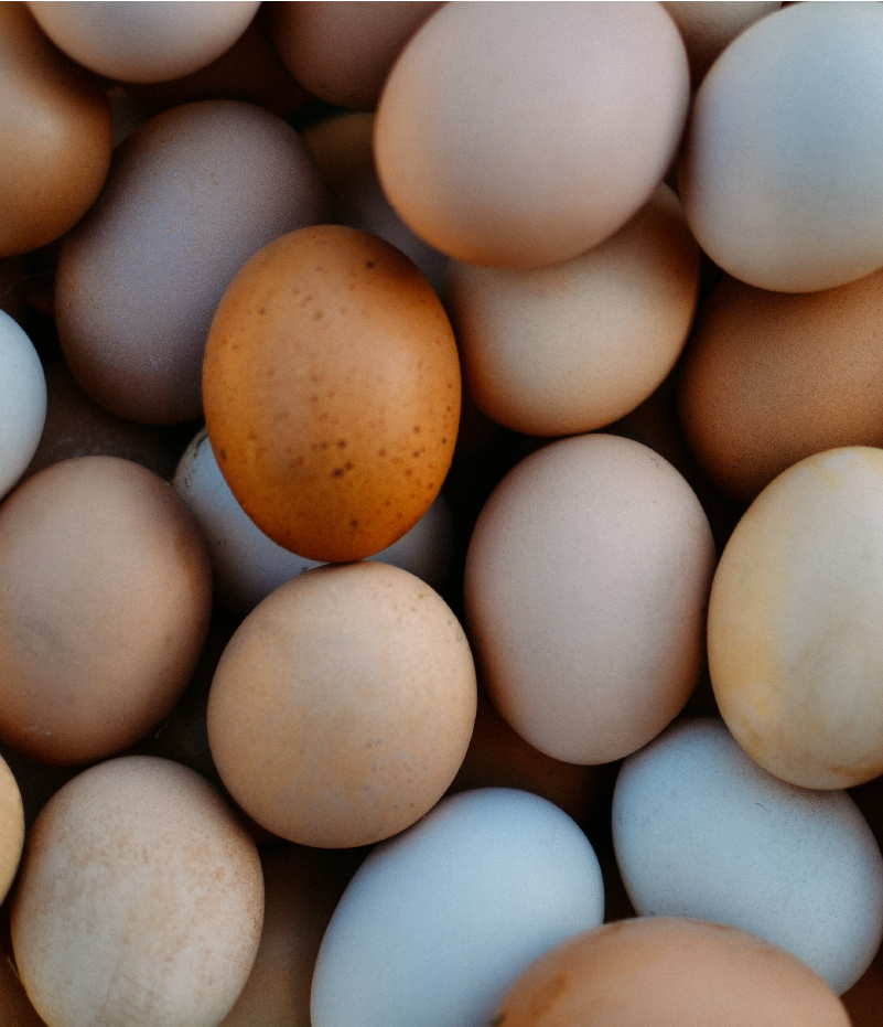 Overhead view of egg variety