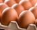 Close up of brown eggs in a large egg carton