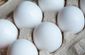 Free-range healthy white eggs filling up an egg carton